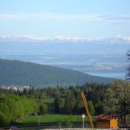 Hotel Restaurant Vue-Des-Alpes Ла-Вю-дез-Альп Экстерьер фото