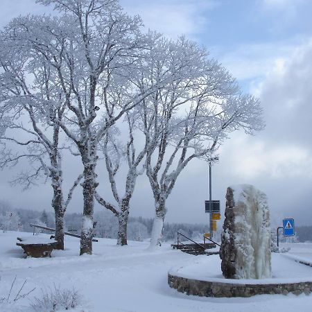 Hotel Restaurant Vue-Des-Alpes Ла-Вю-дез-Альп Экстерьер фото